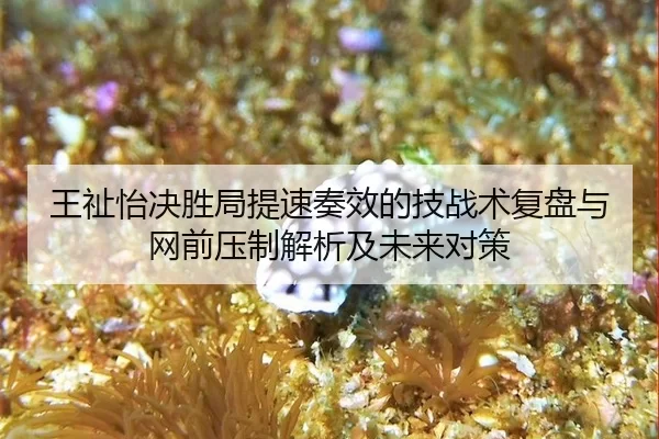 王祉怡决胜局提速奏效的技战术复盘与网前压制解析及未来对策
